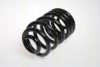 TRISCAN 8750 1007 Coil Spring